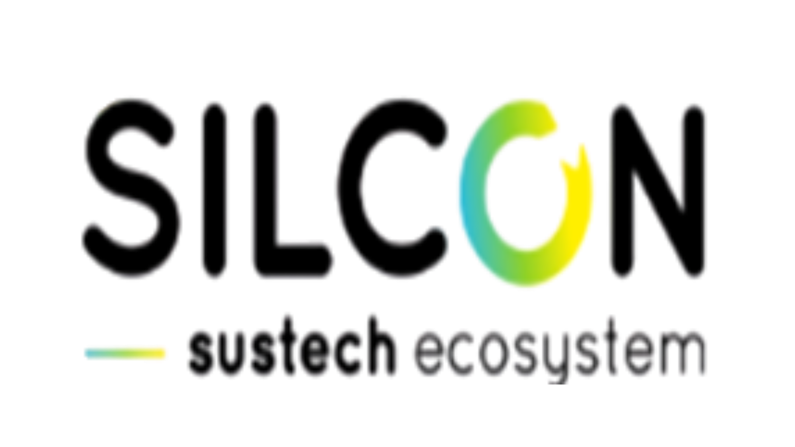 Silcon Ecosustem